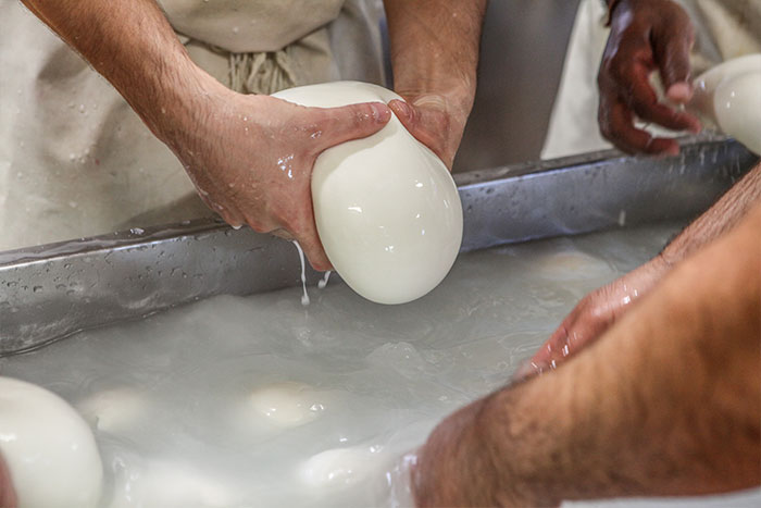 Mozzarella di latte di mista
