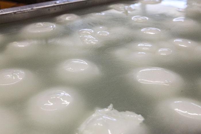 Mozzarella di latte di mista